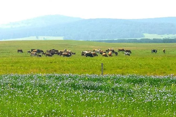 御道口<a href='http://www.aqliu.com/' target=_blank>旅游攻略</a> 去御道口草原怎么走